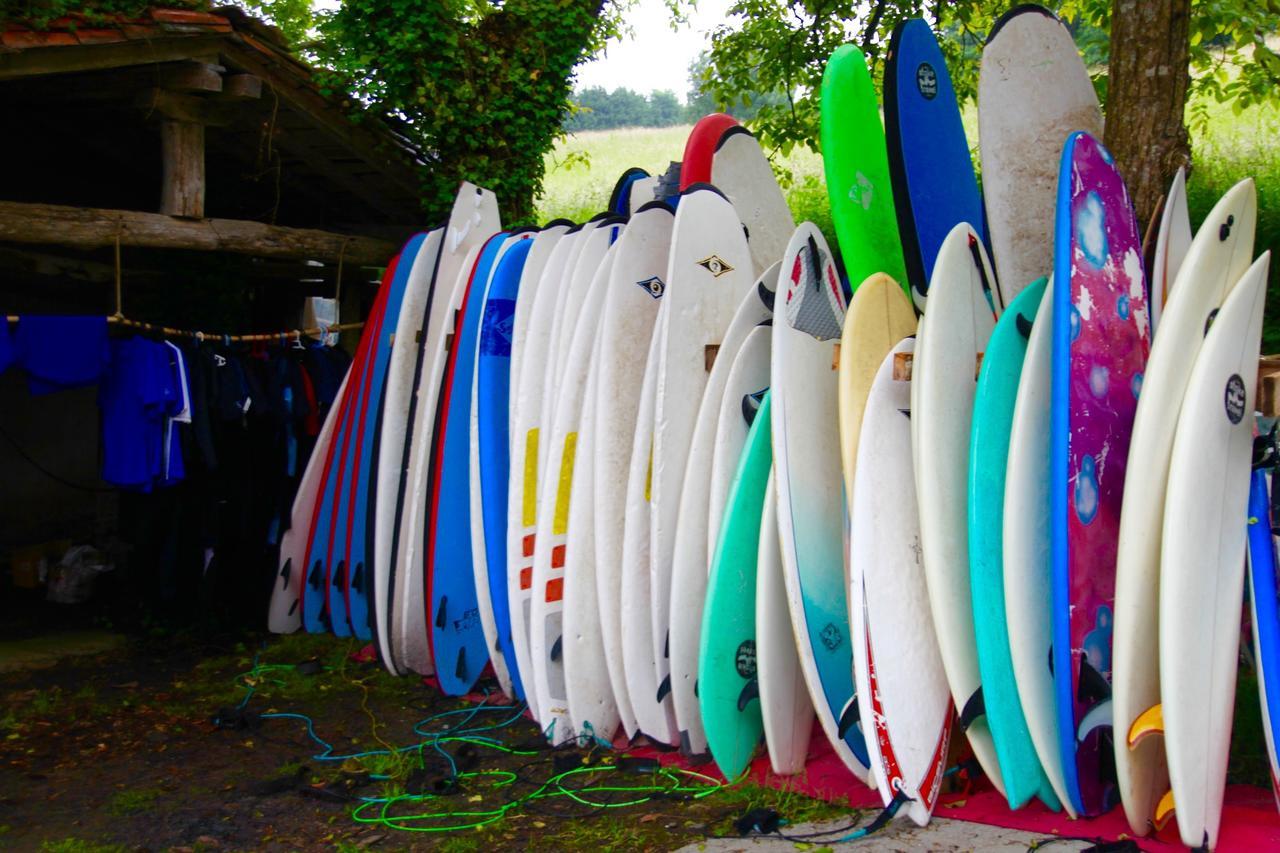 Surf Camp San Sebastian Partyhostel 아이아 외부 사진